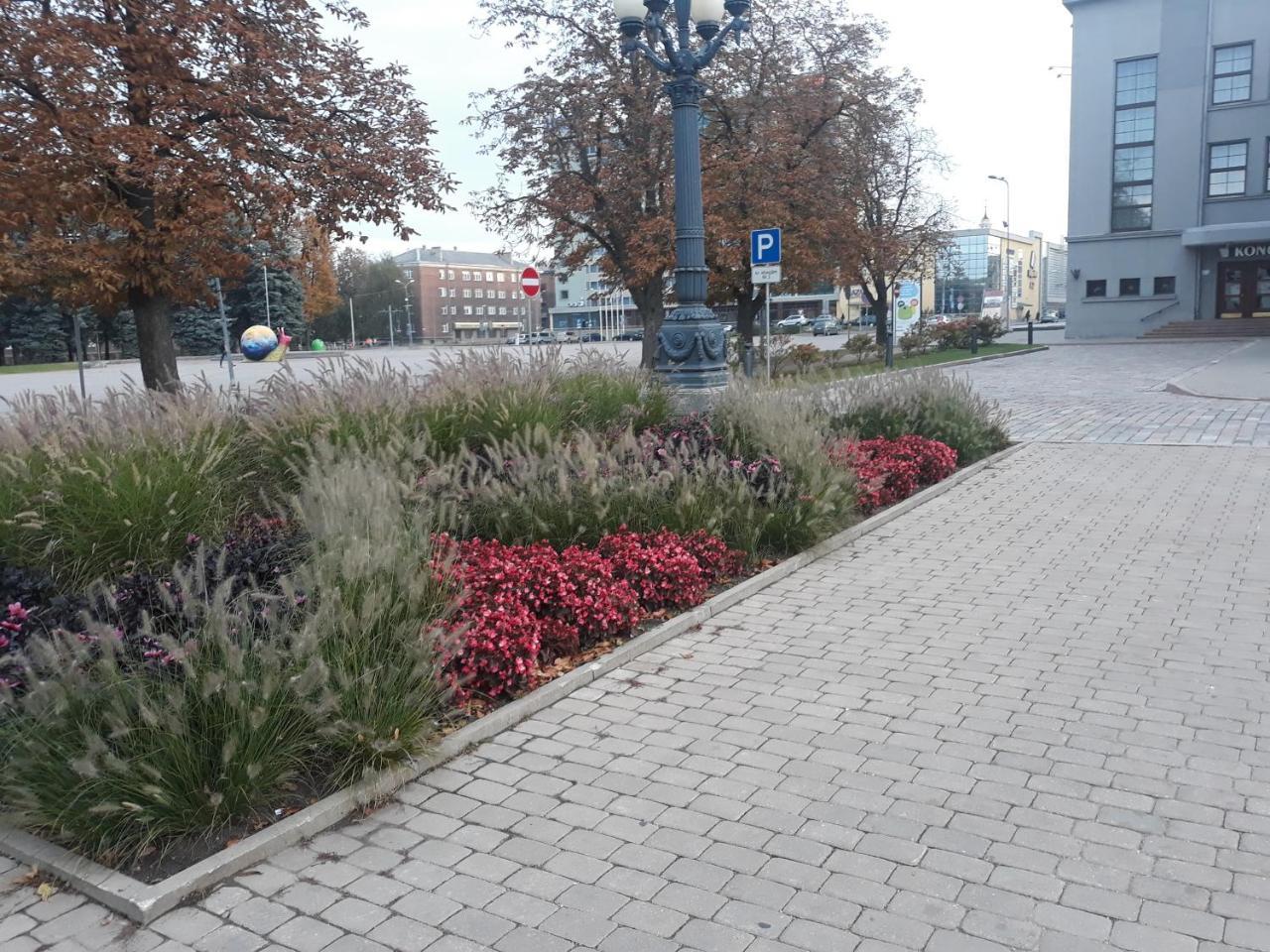 Town Center Studio Apartment Daugavpils Ngoại thất bức ảnh